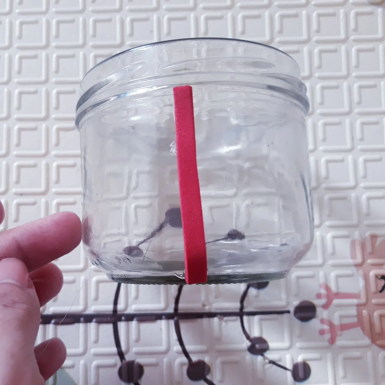 20210828_201927.jpg