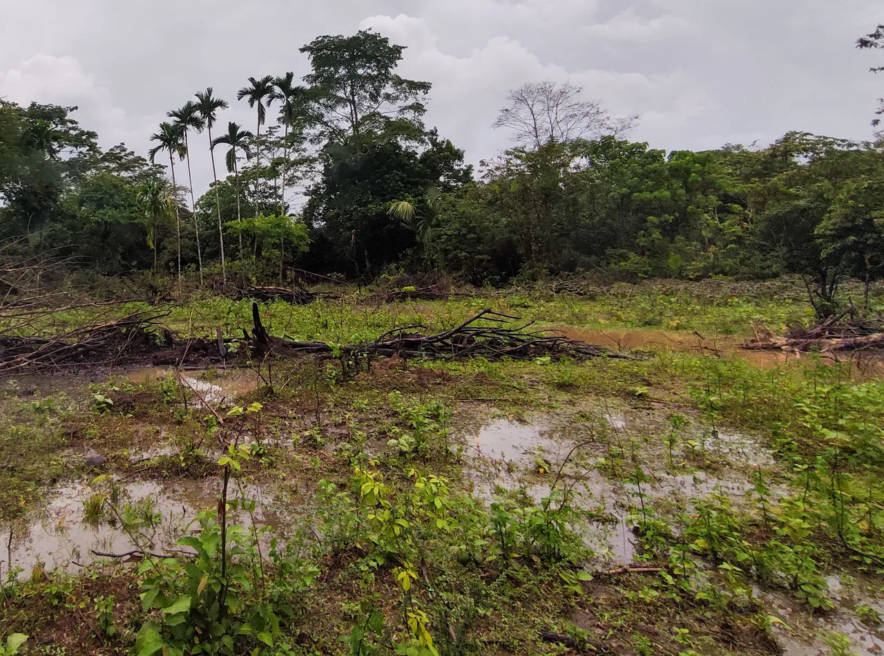 1640966214238 (1).jpg