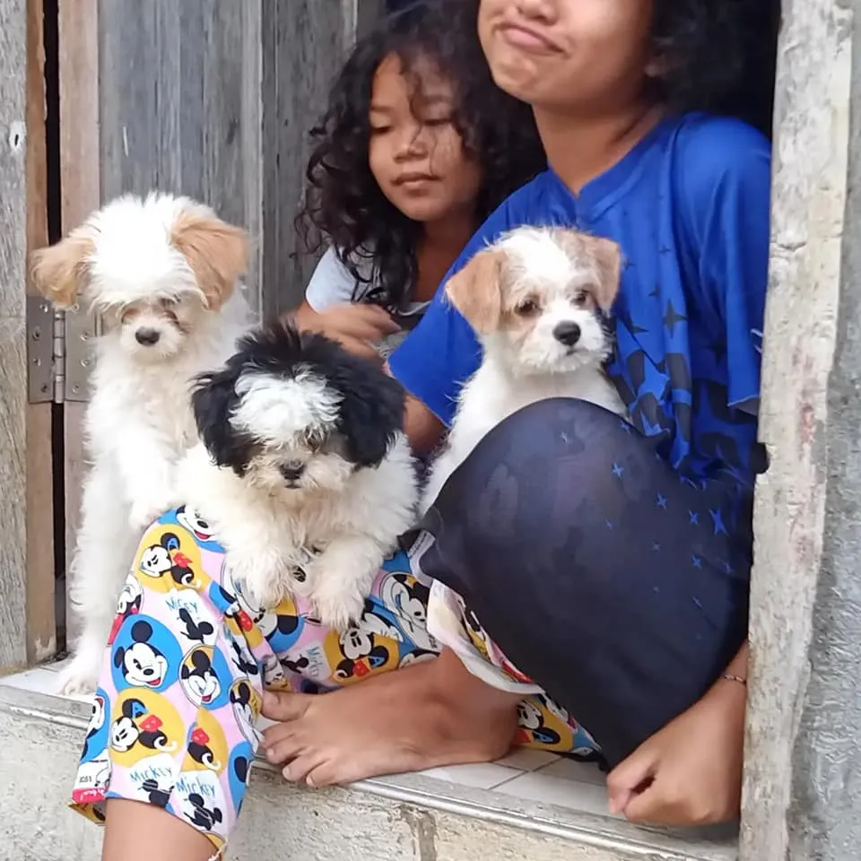 3 pups.jpg