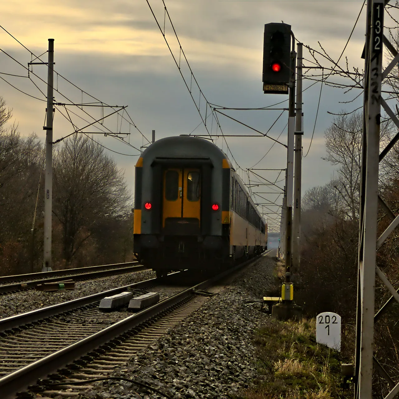 DSC_0005.jpg
