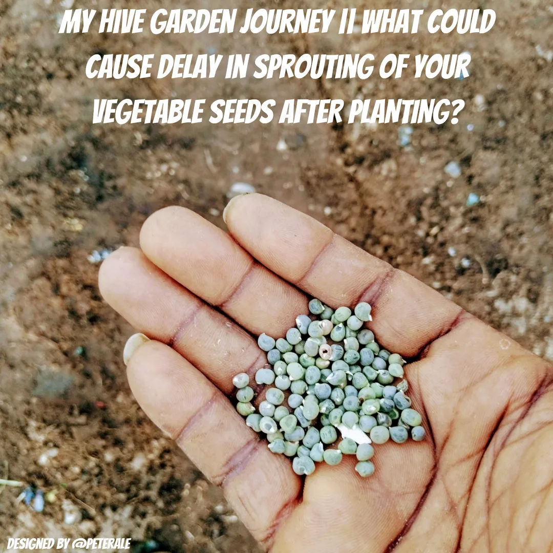Quotes Instagram Post_20240604_231110_0000.png