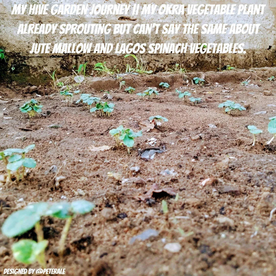 Quotes Instagram Post_20240603_092638_0000.png
