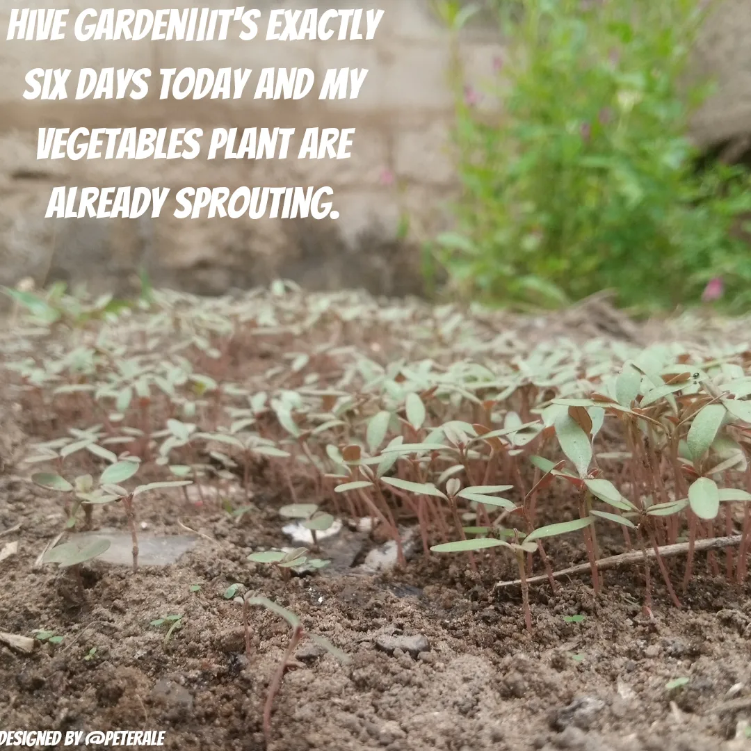 Quotes Instagram Post_20240917_140443_0000.png