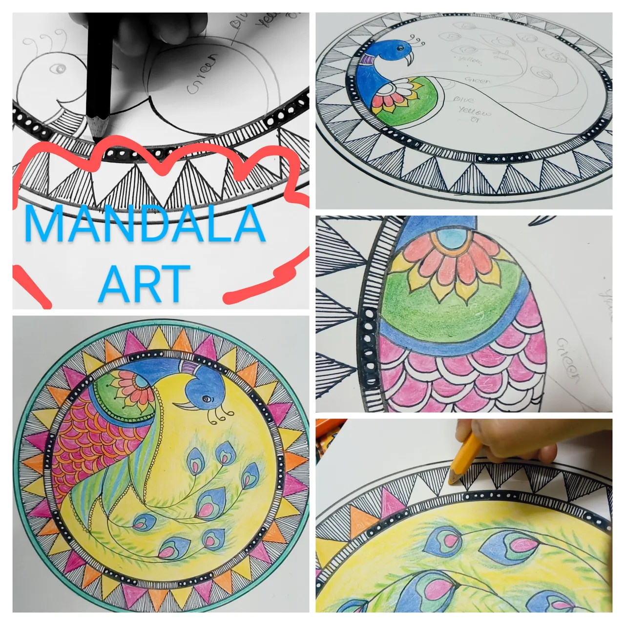 20231027_105151-COLLAGE.jpg