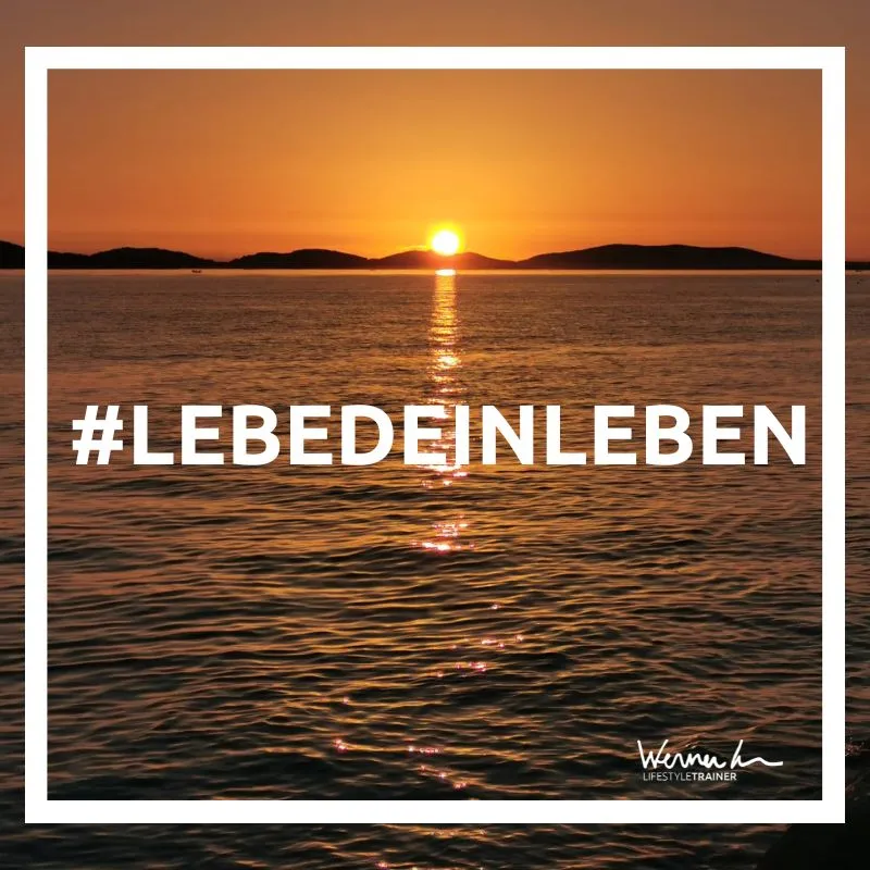 lebedeinleben.jpeg