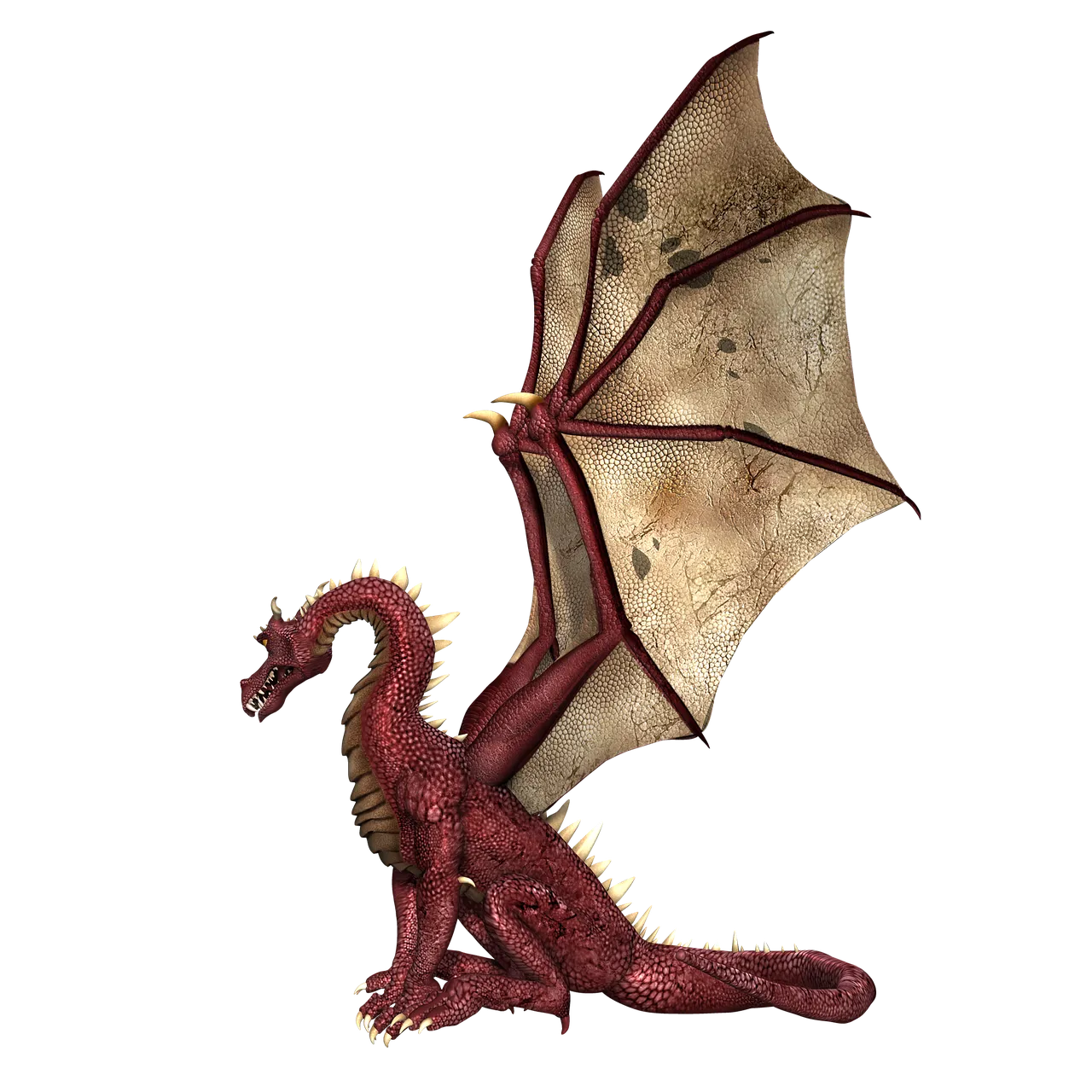 dragon-1949988_1280.png