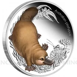 2_au-13-ag-bb2-platypus.jpg