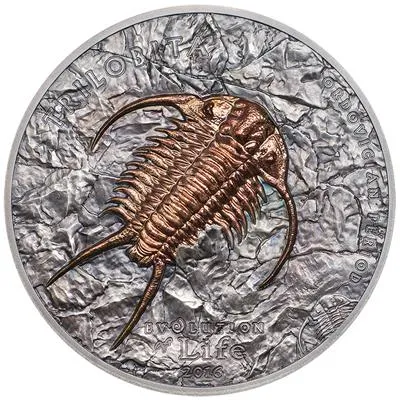 itmon21630_1.jpg