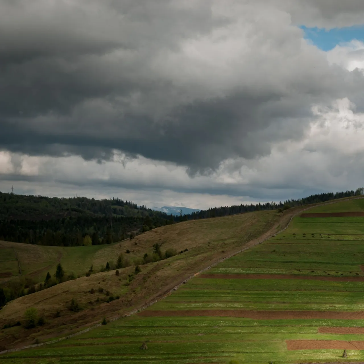 DSC_6317-3.jpg