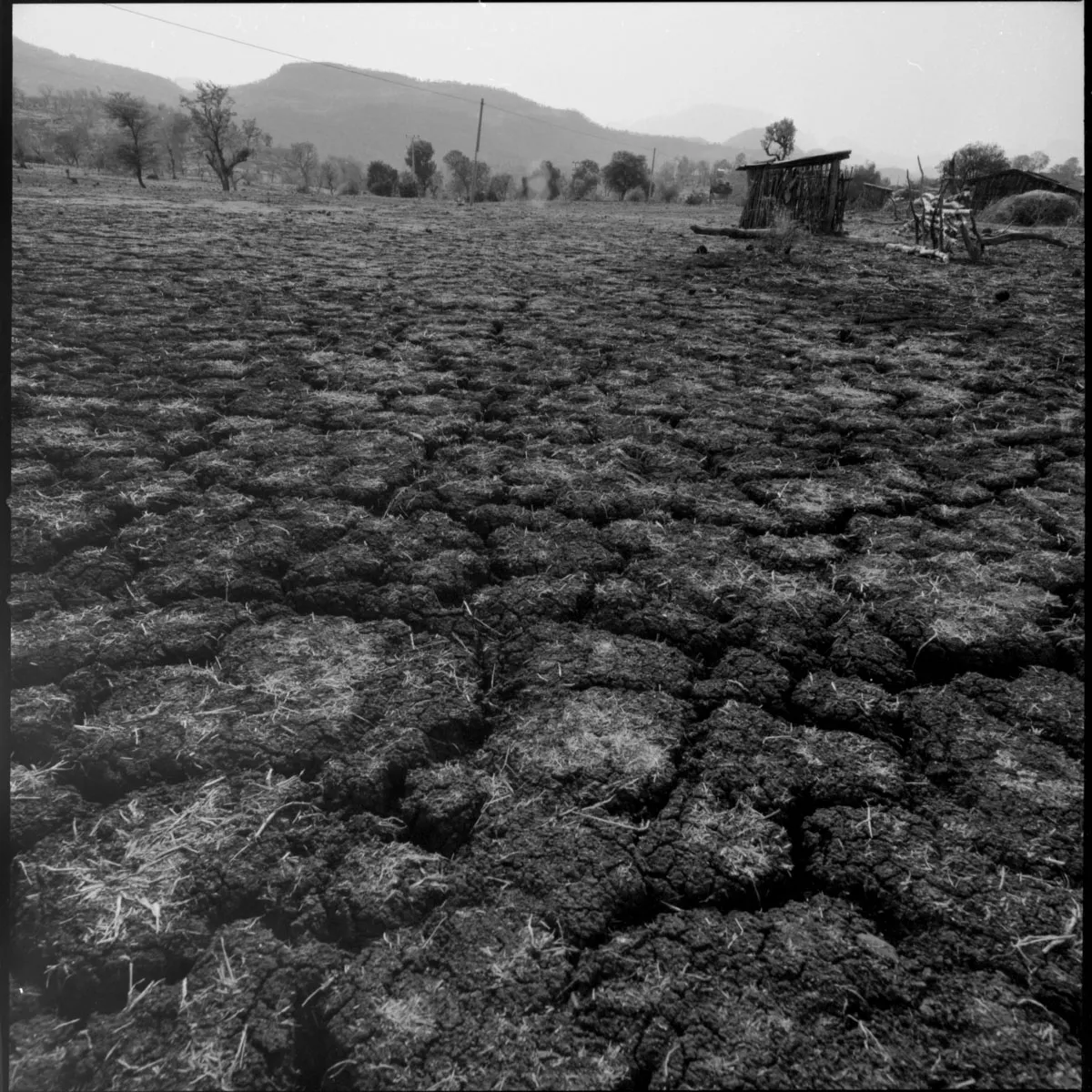 Etiopia_trip_2015_Acros_Neopan_by_Victor_Bezrukov-6.JPG