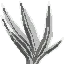 grassgray.png