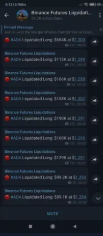 Long liquidATED ada.PNG