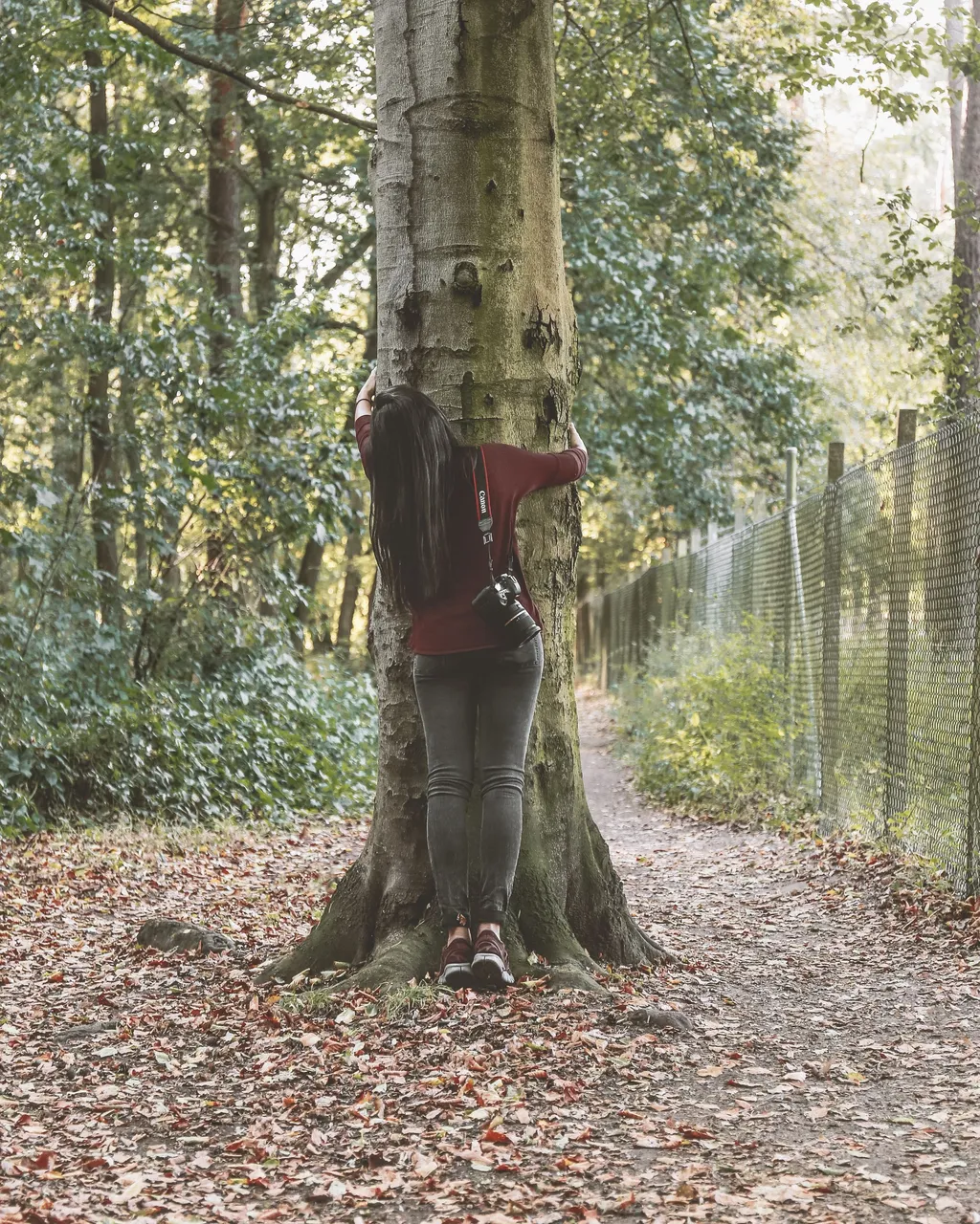autumn_energy Kopie.jpg