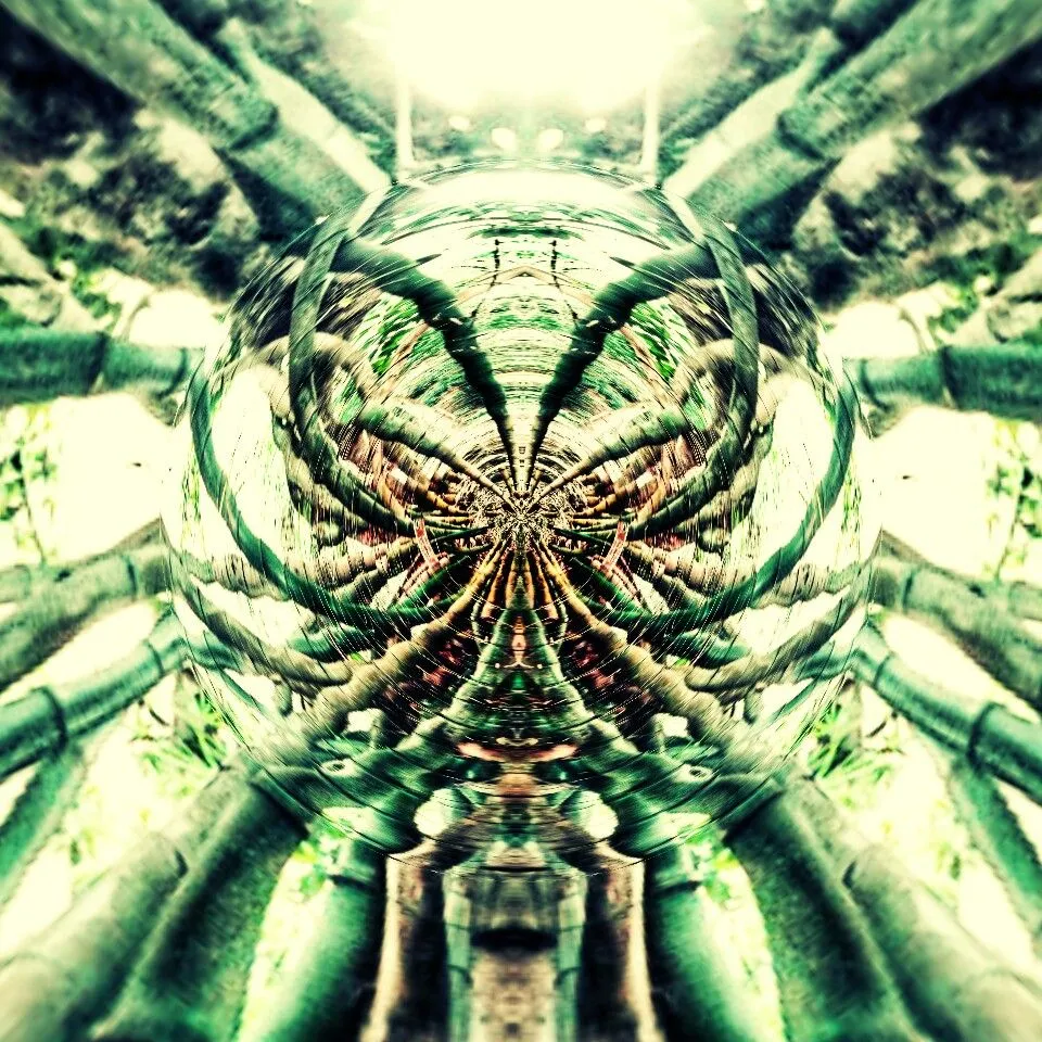 PicsArt_03-24-12.23.12.jpg