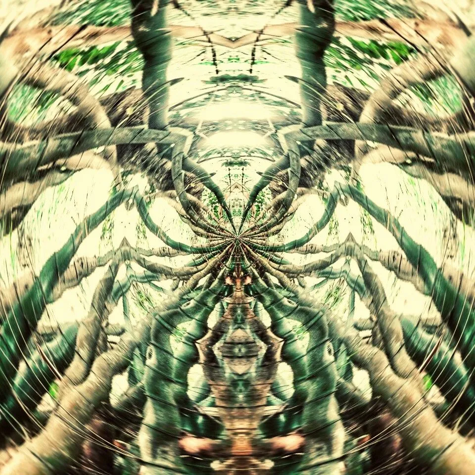 PicsArt_03-24-12.33.47.jpg