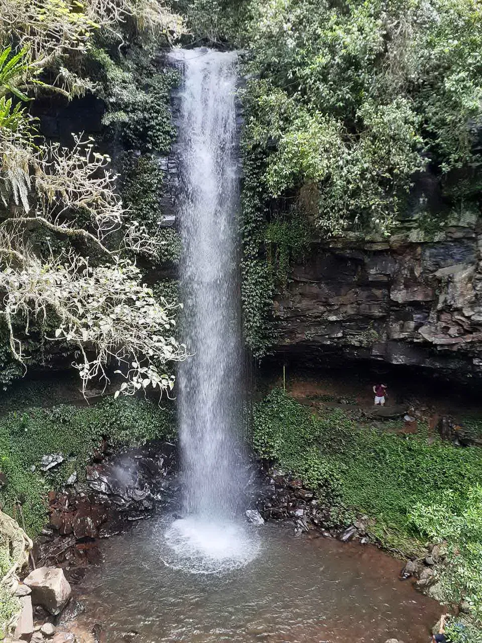 waterfall_national_park_kohsamui99_033.jpg