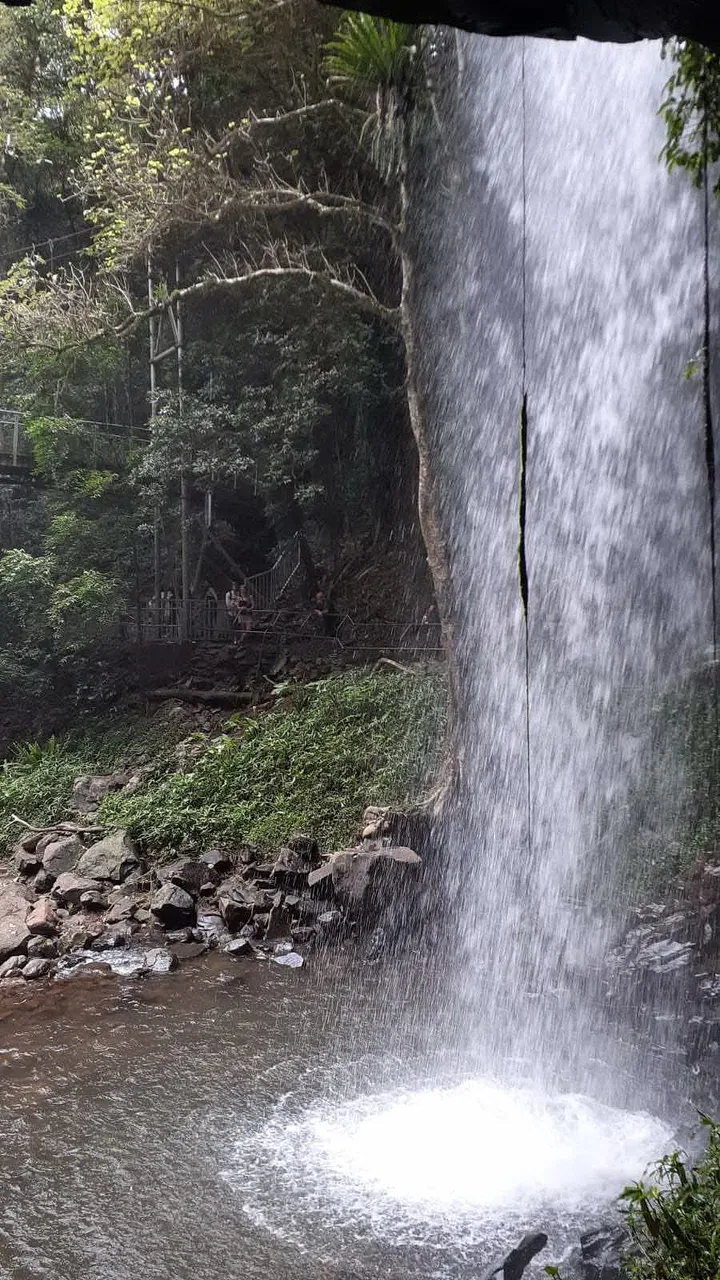 waterfall_national_park_kohsamui99_028.jpg