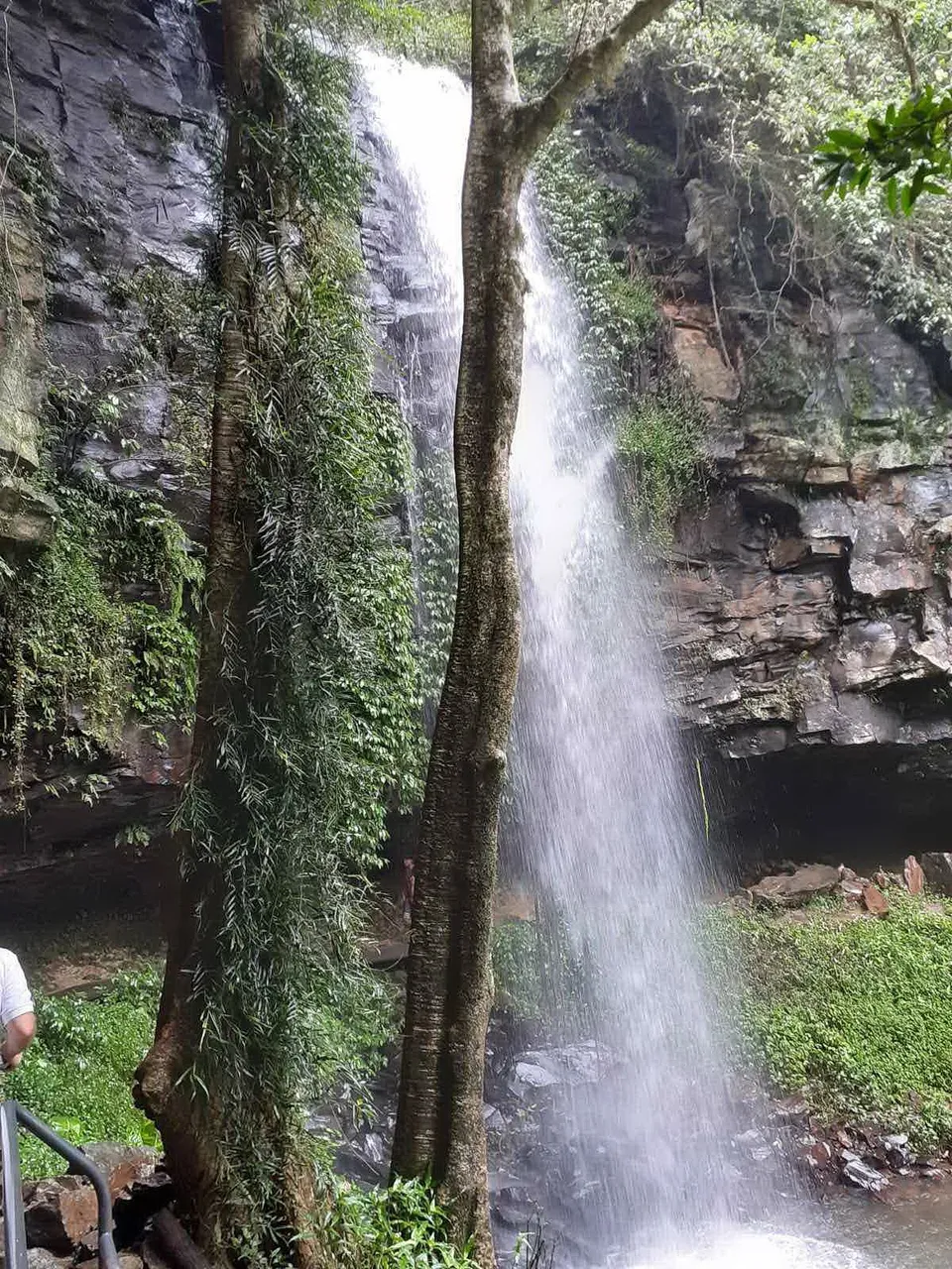 waterfall_national_park_kohsamui99_030.jpg