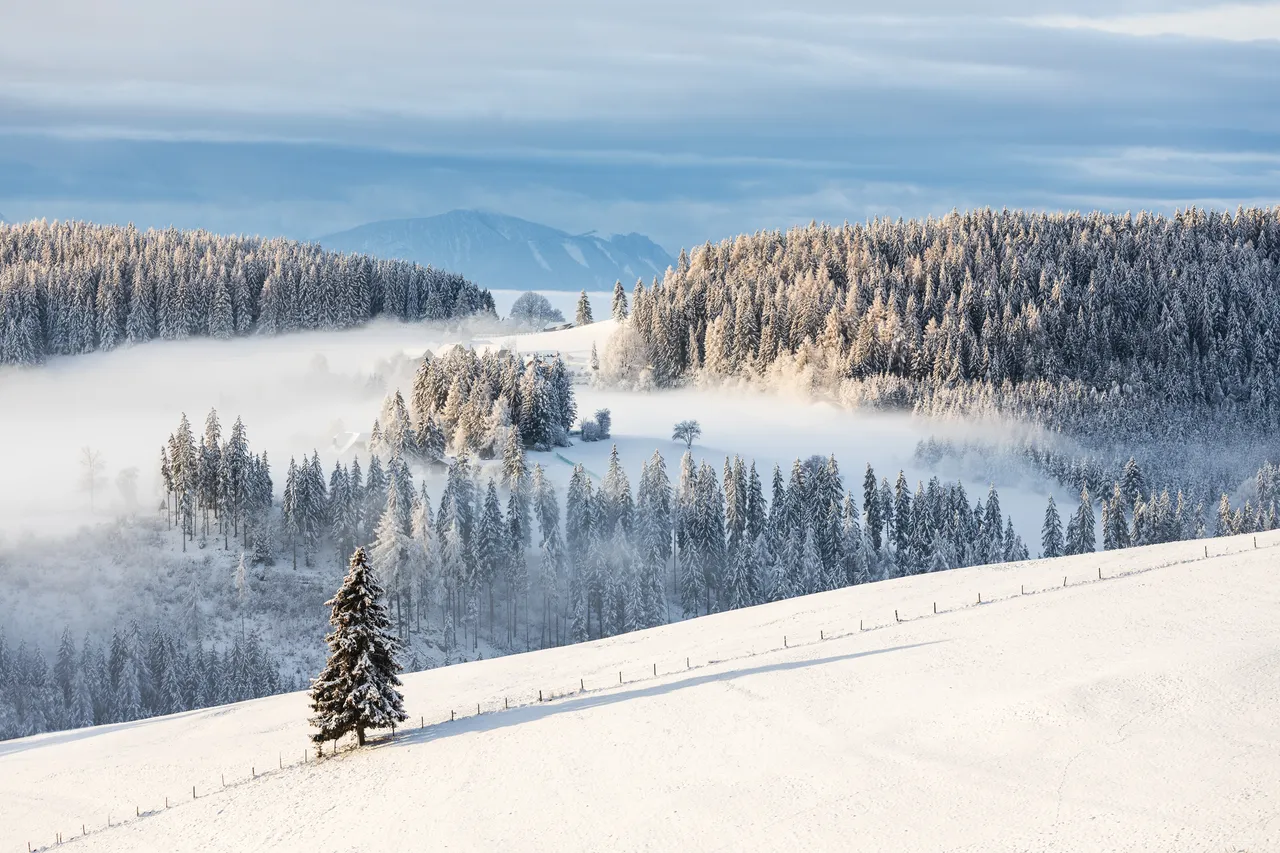 Winter Wonderland in Diex, Sun Village in Carinthia