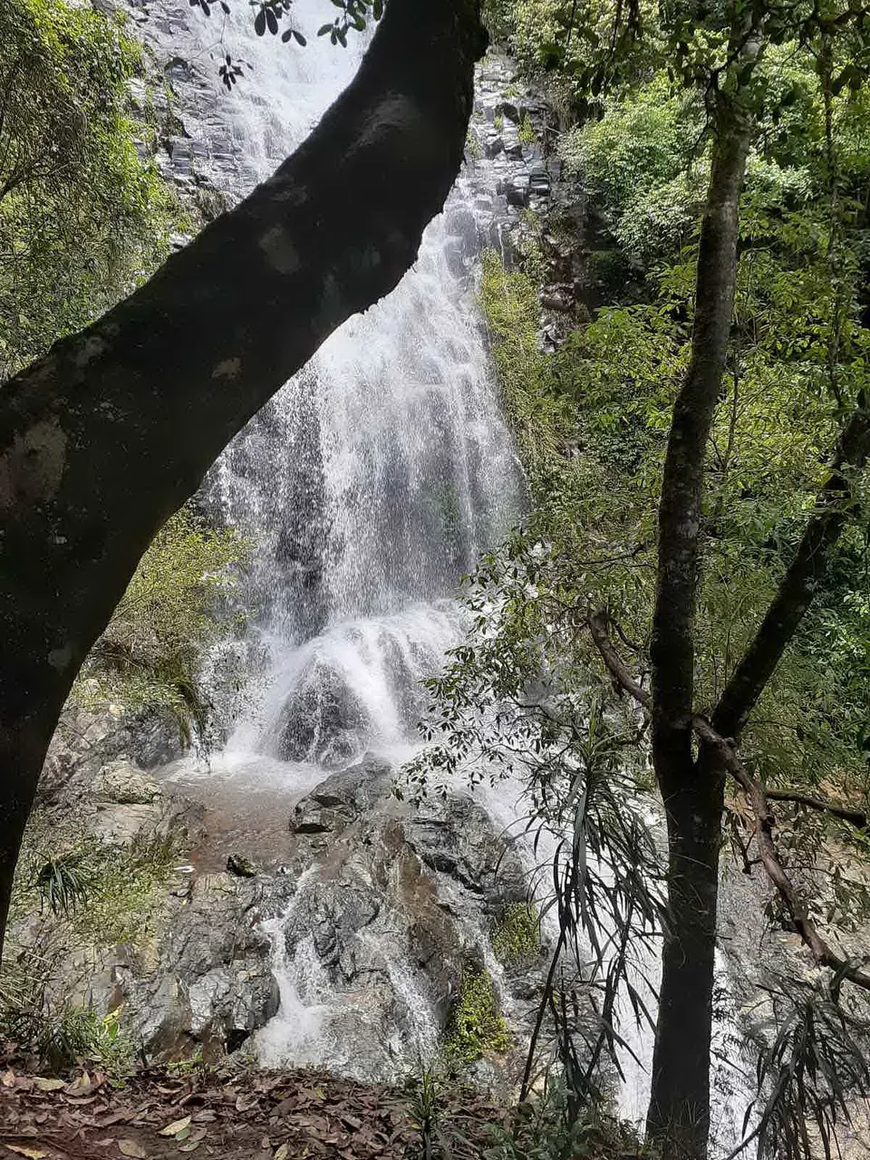 waterfall_national_park_kohsamui99_020.jpg