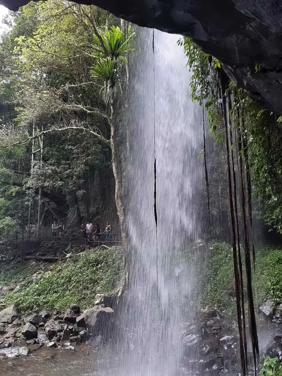 waterfall_national_park_kohsamui99_029.jpg
