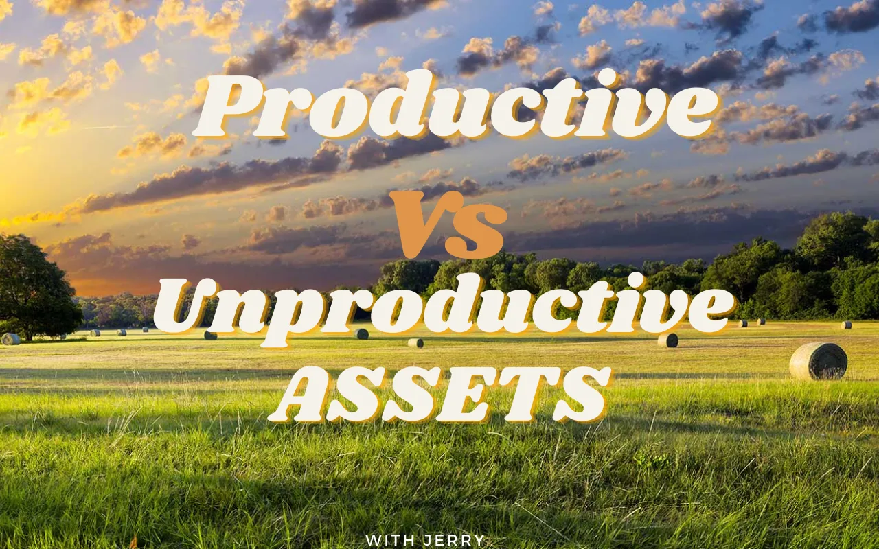 Productive VS Unproductive Assets.png