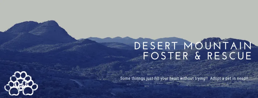 Desert mountain foster & Rescue.png