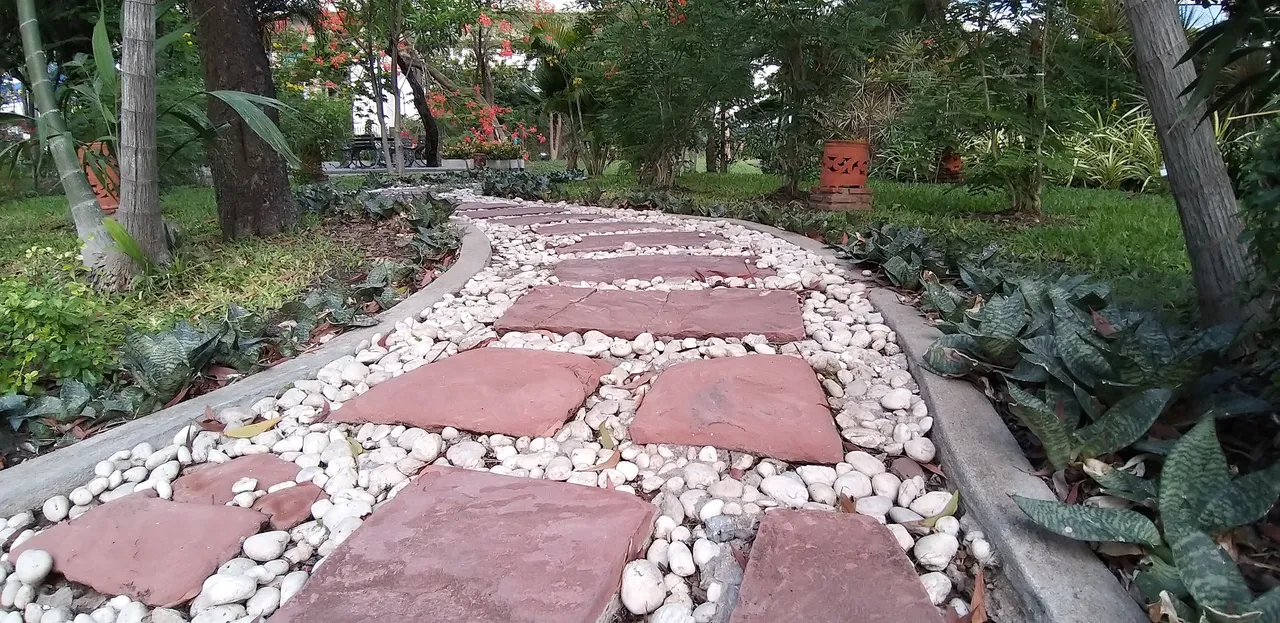 JJ Park No-2 - May 2020 586.jpg
