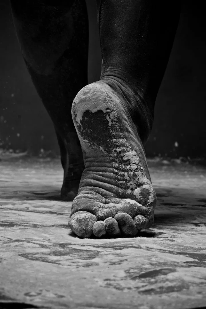 Detail from the shoot