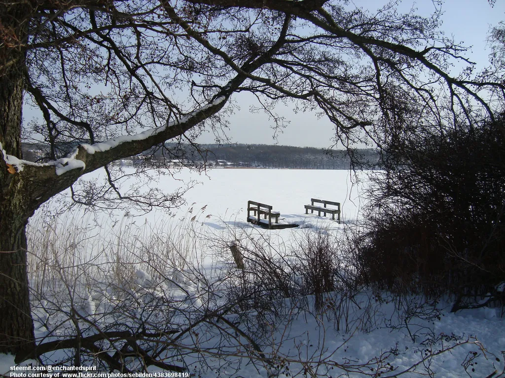 LakeSceneInWinterWithBridge-001-030818.jpg