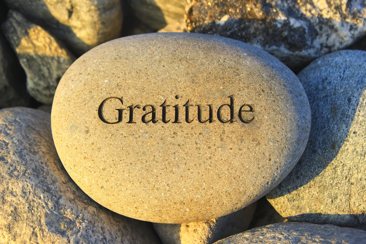 Chiropractor-Fenton-Michigan-Gratitude.jpg