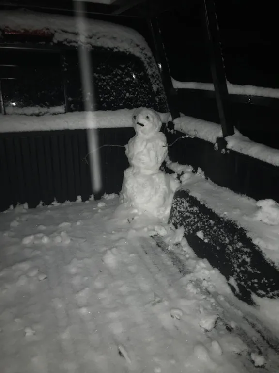 Please winter, let me die....jpg