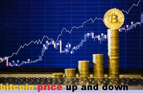 ver-economic-code-bitcoin-cash-storbbb.jpg
