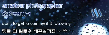 크기변환_3.png