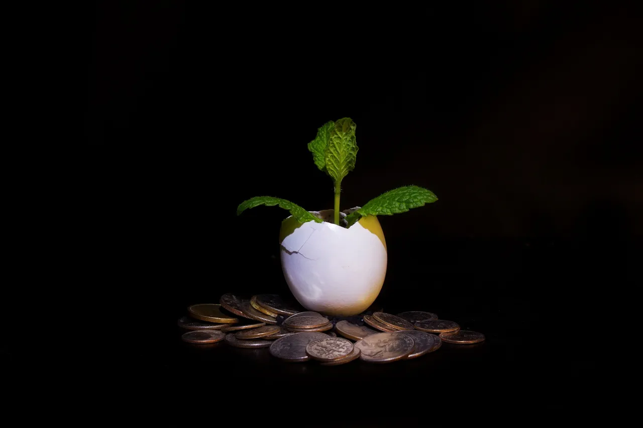 money-plant-isolated-on-black_f18AtyFO.jpg