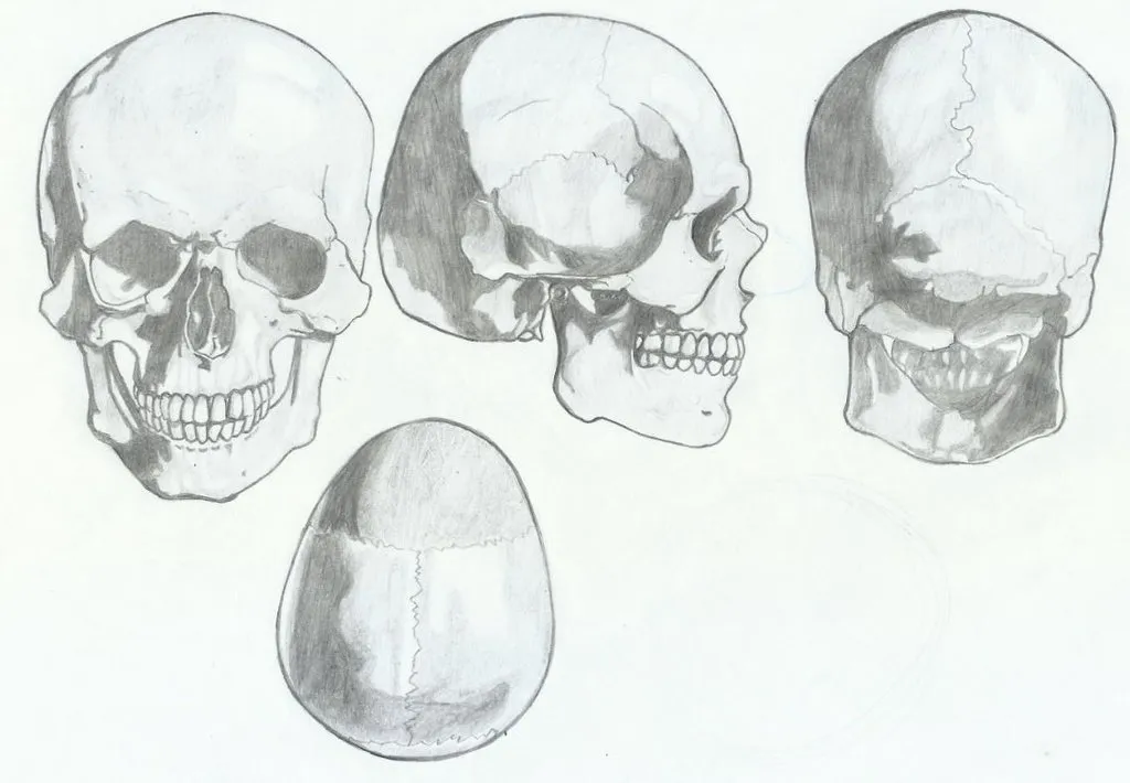 skull_turnaround_by_marcpegini-dbsw5x1.jpg