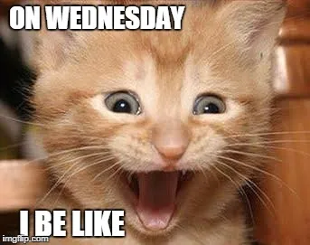 Wednesday-Meme-On-wednesday-i-be-like.jpeg