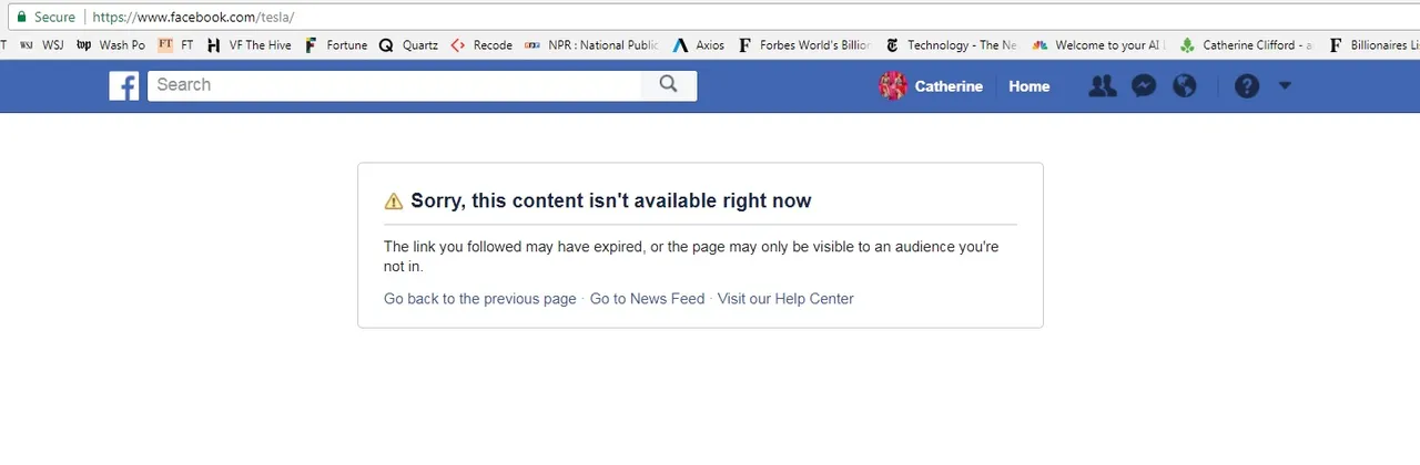 Tesla Facebook page taken down.jpg