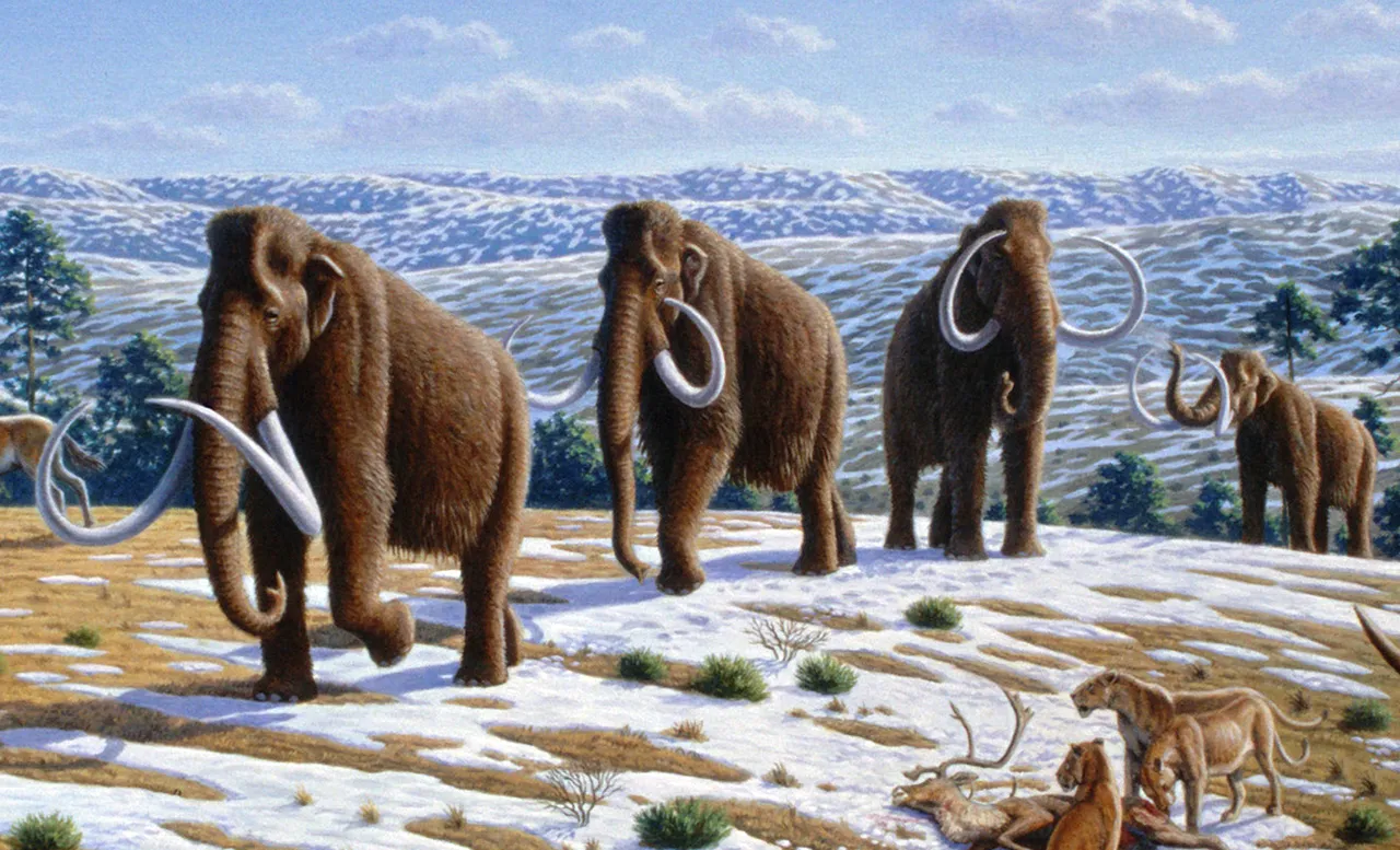 mammoth
