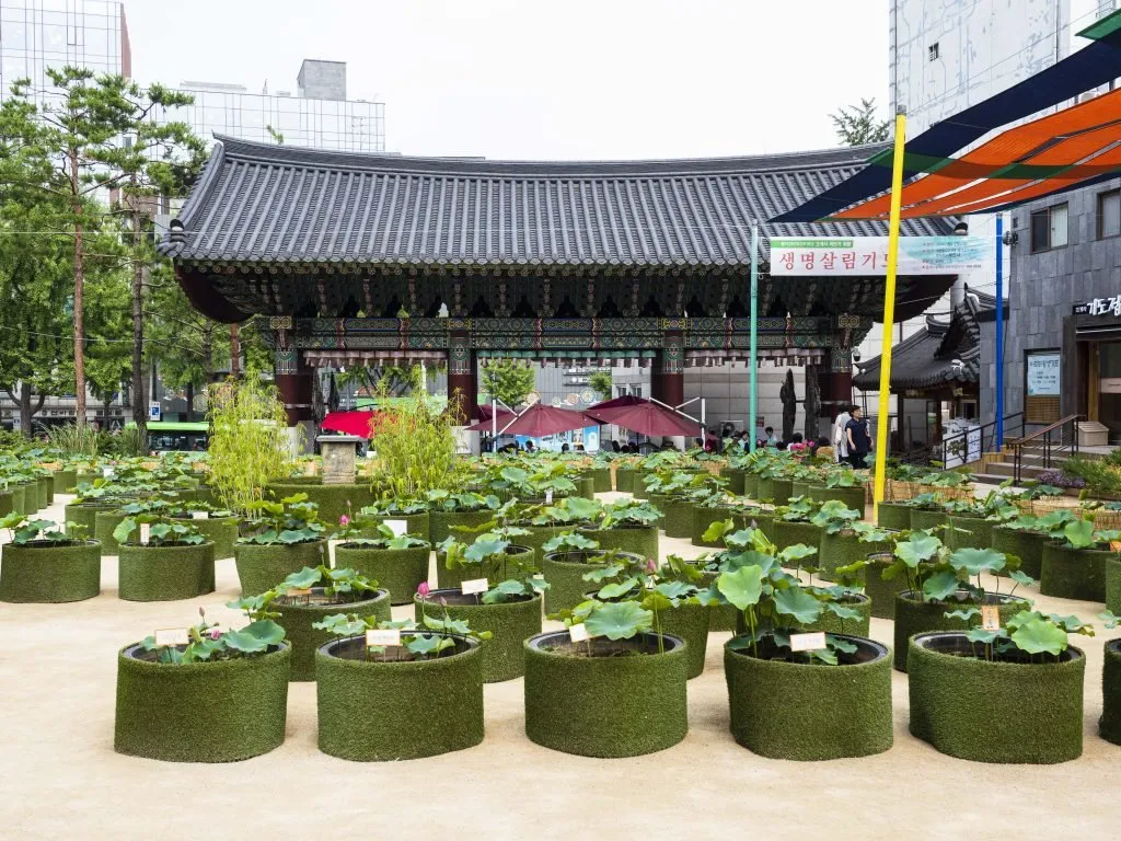 This image has an empty alt attribute; its file name is 조계동-앞마당4-1-1024x768.jpg