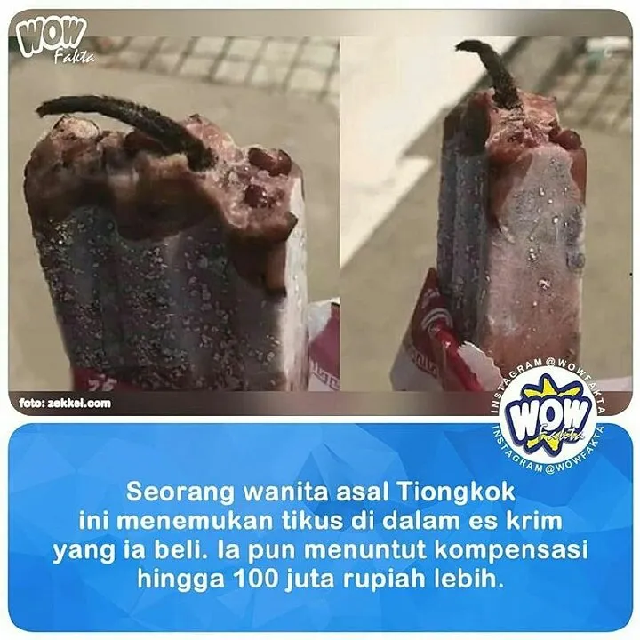 01b326e6-f0d7-479b-90a5-a3e0d665a1a1.jpeg