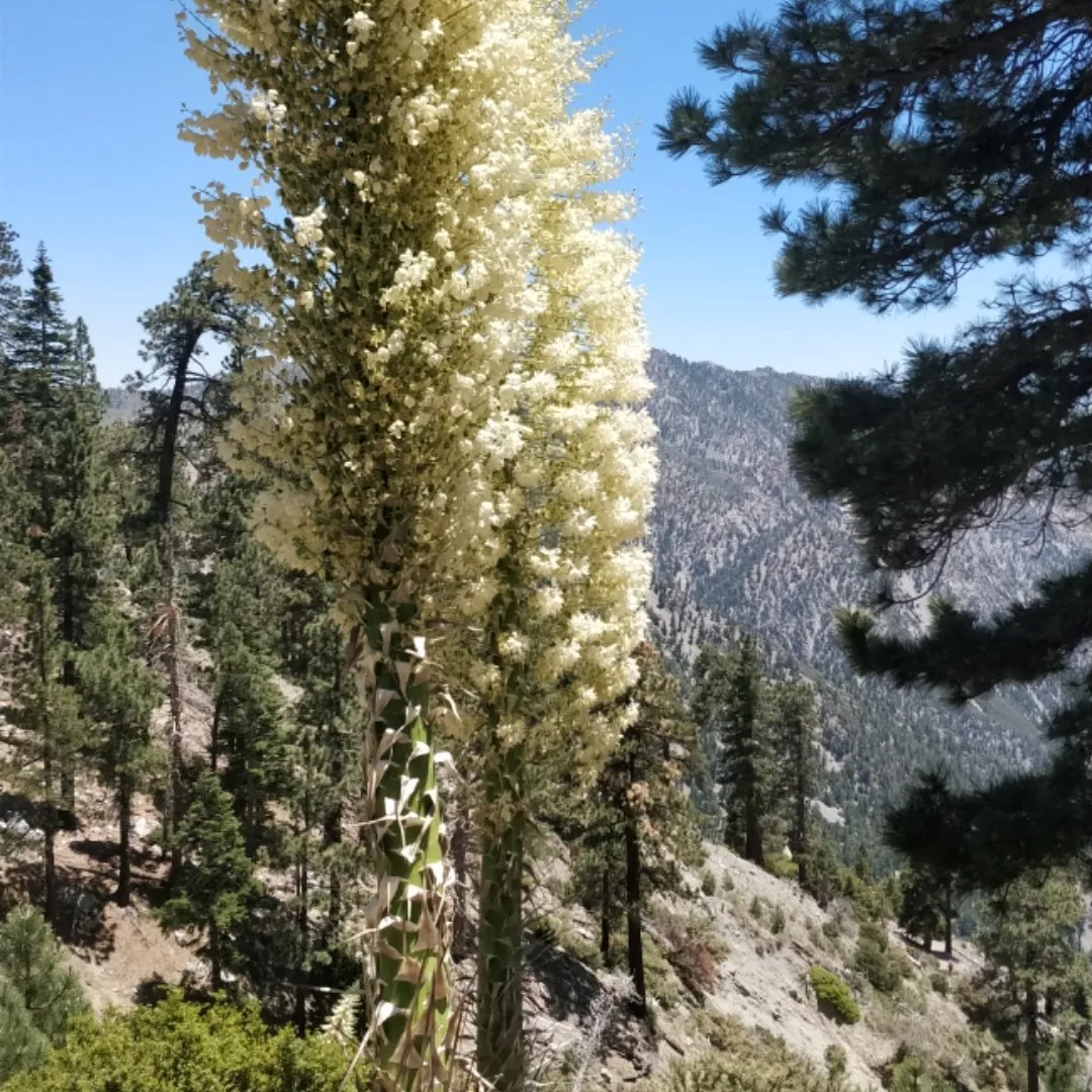 04609cc8-3d81-4a30-802d-d36f6088008b.jpeg