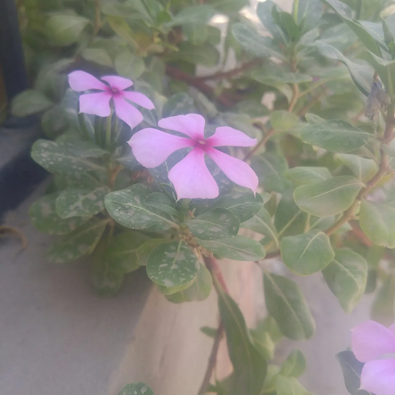 090cc15f-f7b6-4b4c-b14c-305475244b19.jpeg