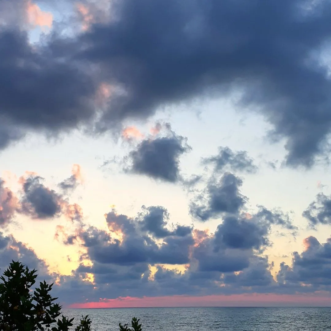 0940b2ce-168c-4172-92e6-65e341b0023f.jpeg