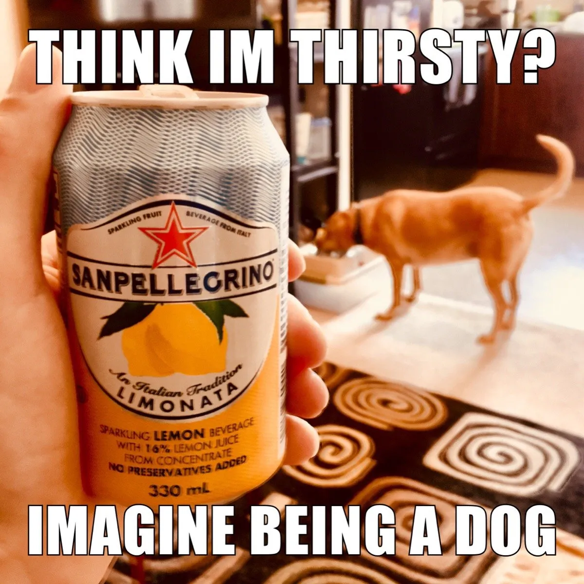 0b2a66bb-ca59-48c0-9fd0-d7537fe10797.jpeg