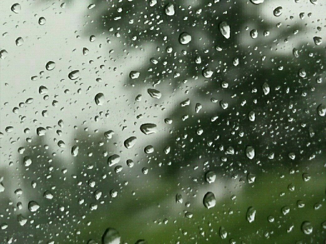 10a1709e-e14d-41fe-af47-472a75e667d7.jpeg
