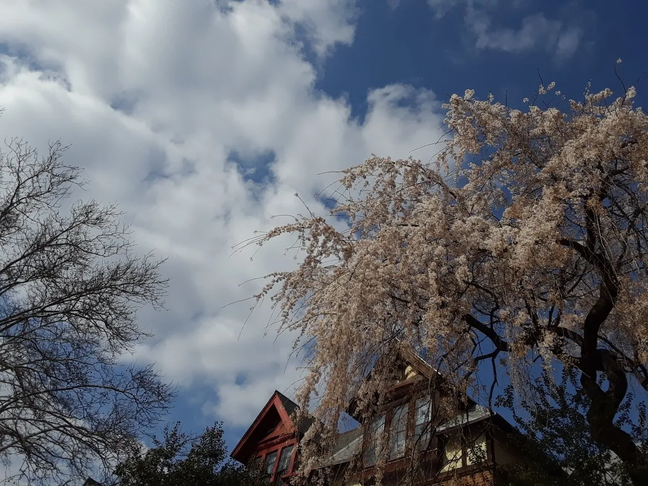 11c82258-1d7a-4057-b337-1d953414bc50.jpeg