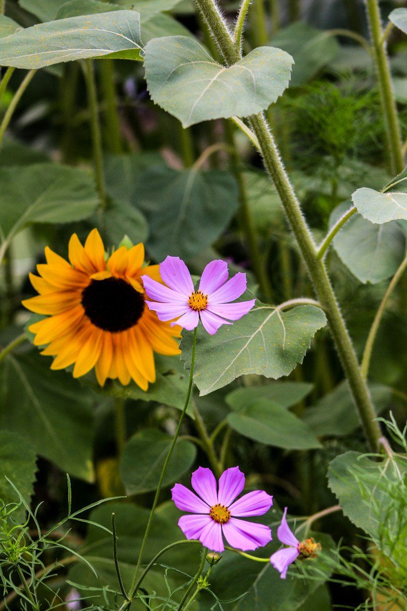 12604a3b-ea26-4da4-8a10-30ec6c51a853.jpeg