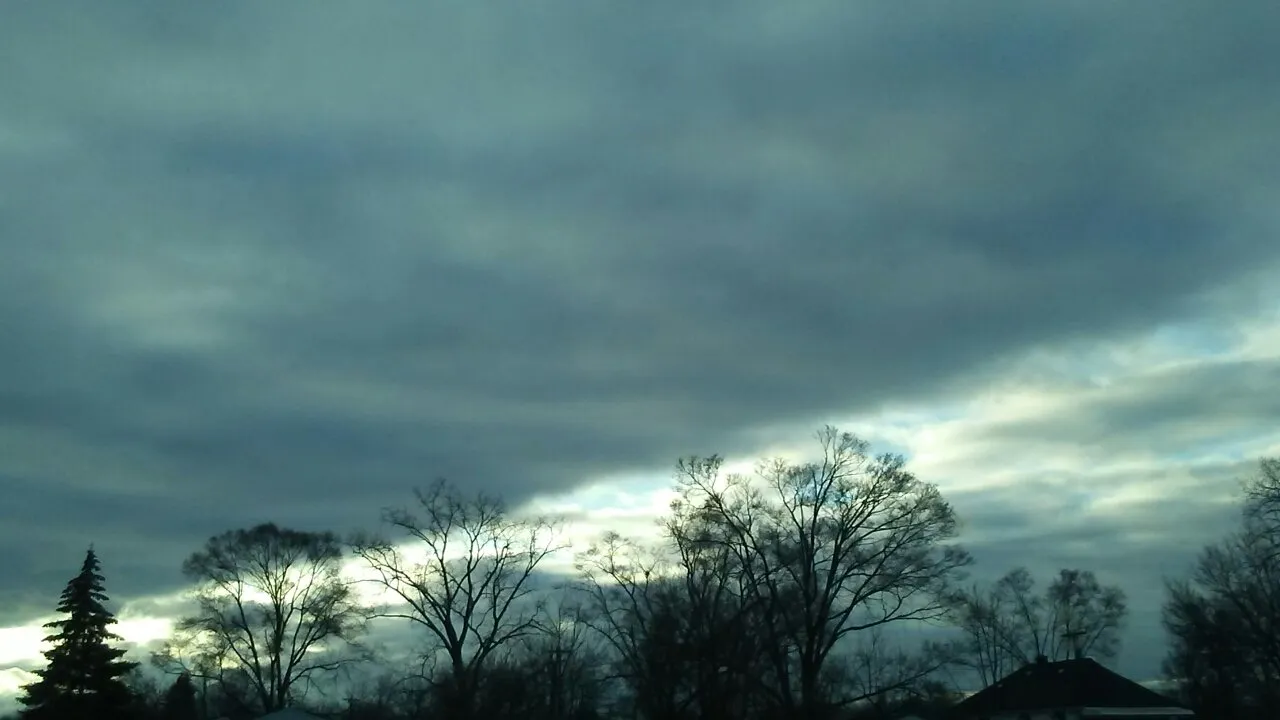 13cb08e7-b2fb-444c-8611-49546725ecf8.jpeg