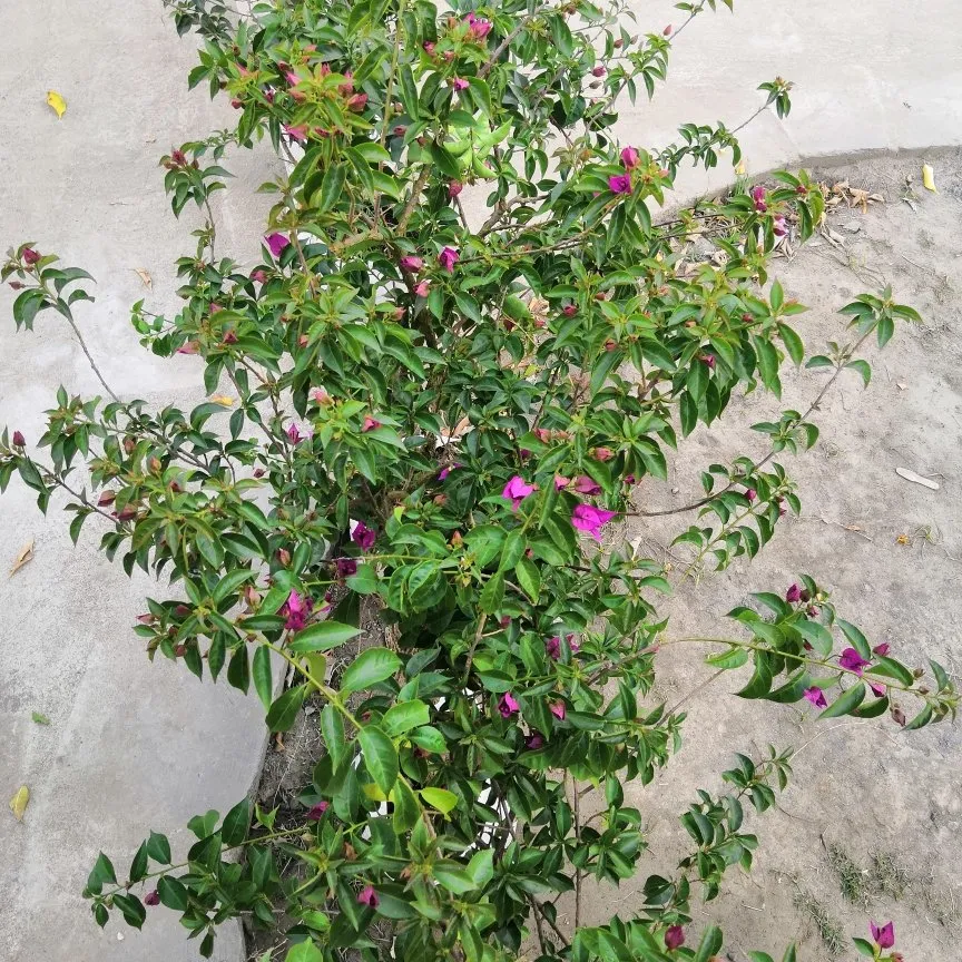 1572cafa-2a30-478c-b9fe-b48c73ea0b39.jpeg